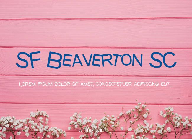 SF Beaverton SC example